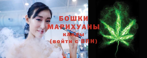 прущий лед Вяземский