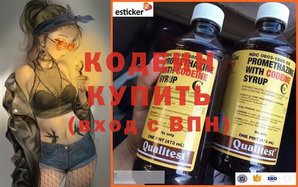 СК Вязьма