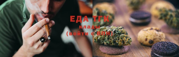 СК Вязьма