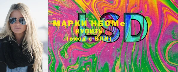 прущий лед Вяземский