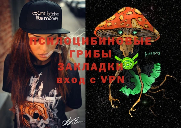 СК Вязьма