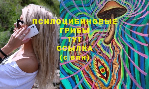 СК Вязьма