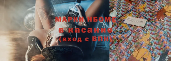 прущий лед Вяземский