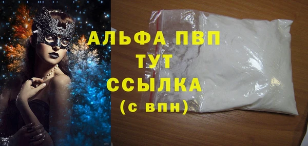 прущий лед Вяземский