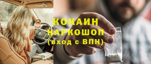 прущий лед Вяземский