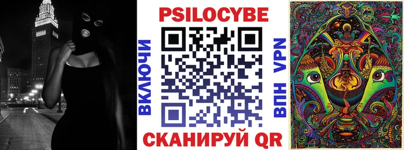 Псилоцибиновые грибы Psilocybe Купить где Протвино